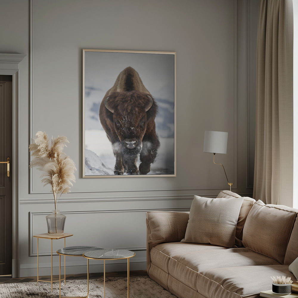 Wall Art Bison Incoming