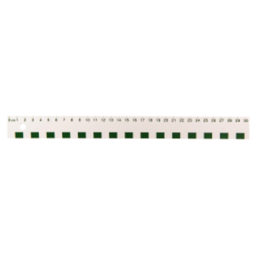 30cm White Plastic Ruler /
Règle blanche en plastique de 30 cm (cm)