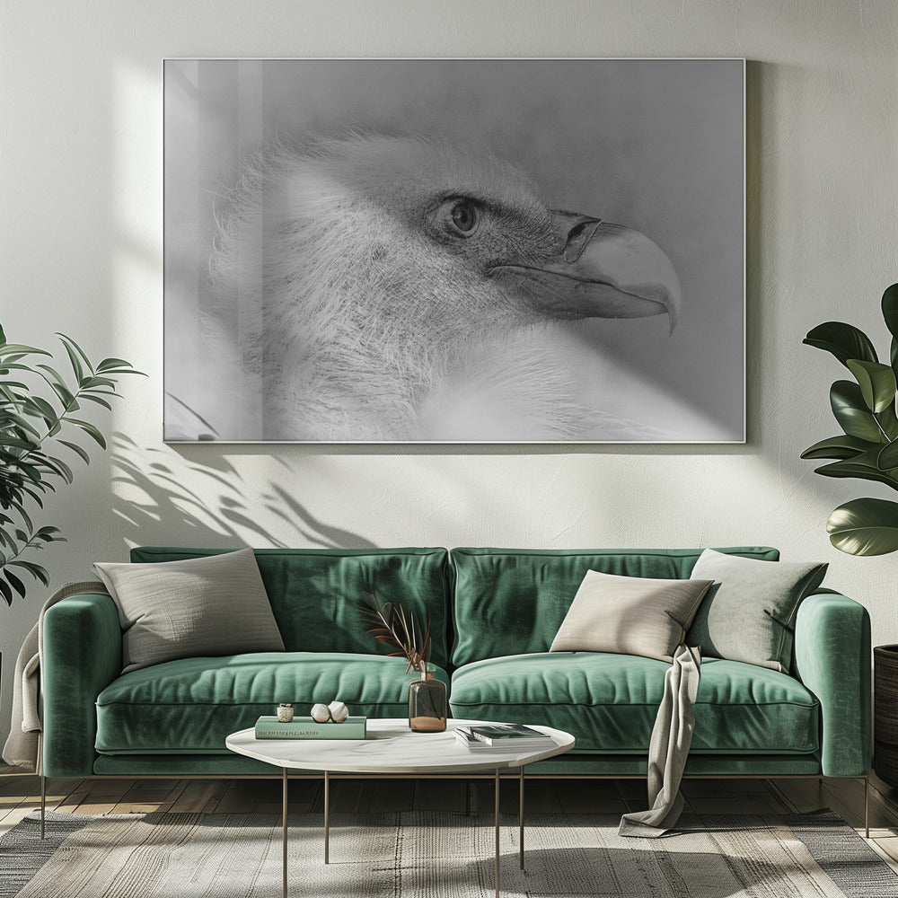 Wall art Bald eagle