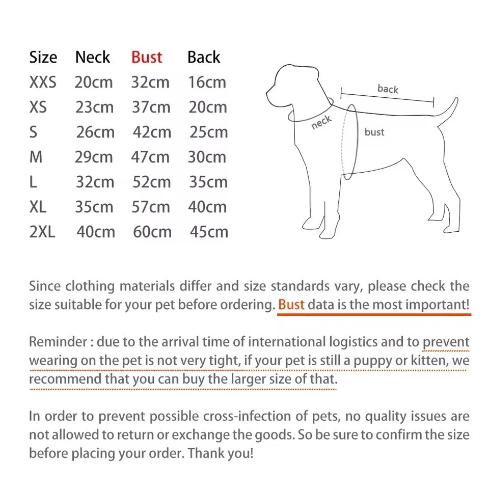 Sweat à capuche chien ours | Sweat à capuche pour chien avec motif personnage