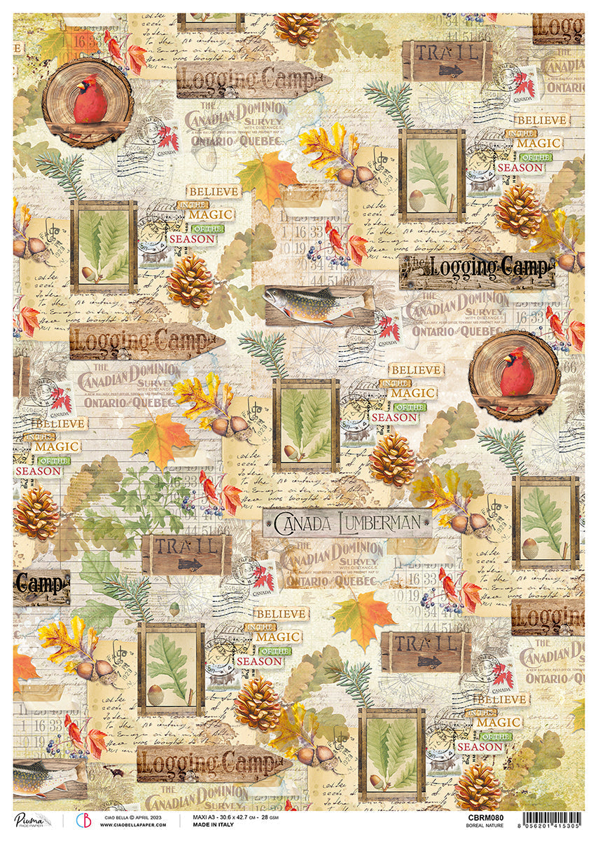 Ciao Bella Papier de Riz A3 Piuma Boreal Nature - 3 Feuilles