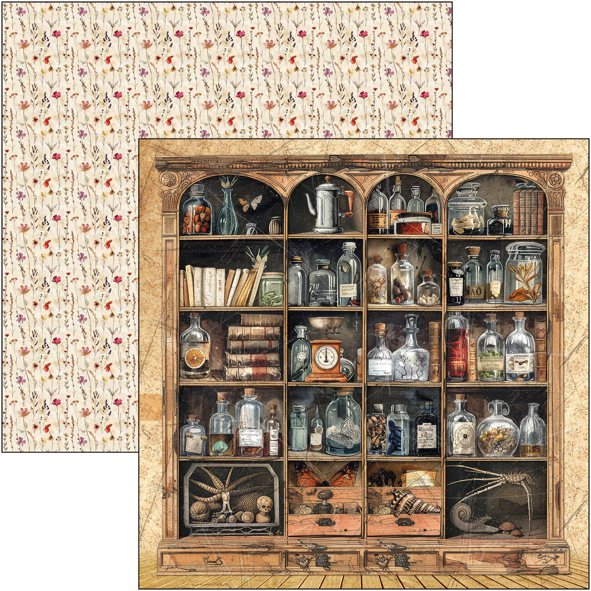 Bloc de motifs Cabinet Of Curiosities 30,5 x 30,5 cm, 8/Paquet