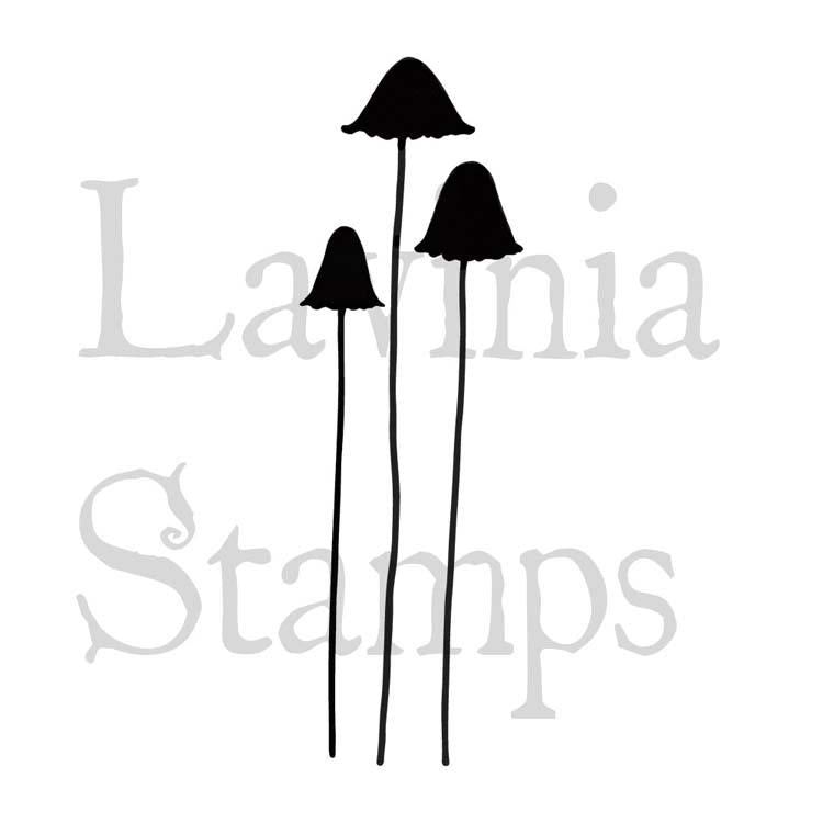 Tampons Lavinia - Champignons excentriques