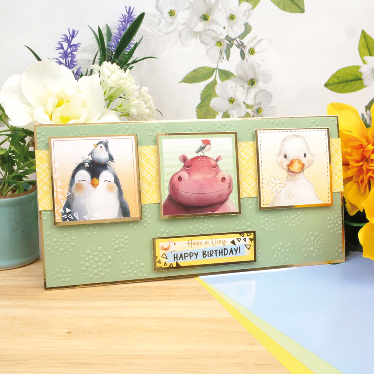 Sélection « Animaleries Antics » Adorable et Notée