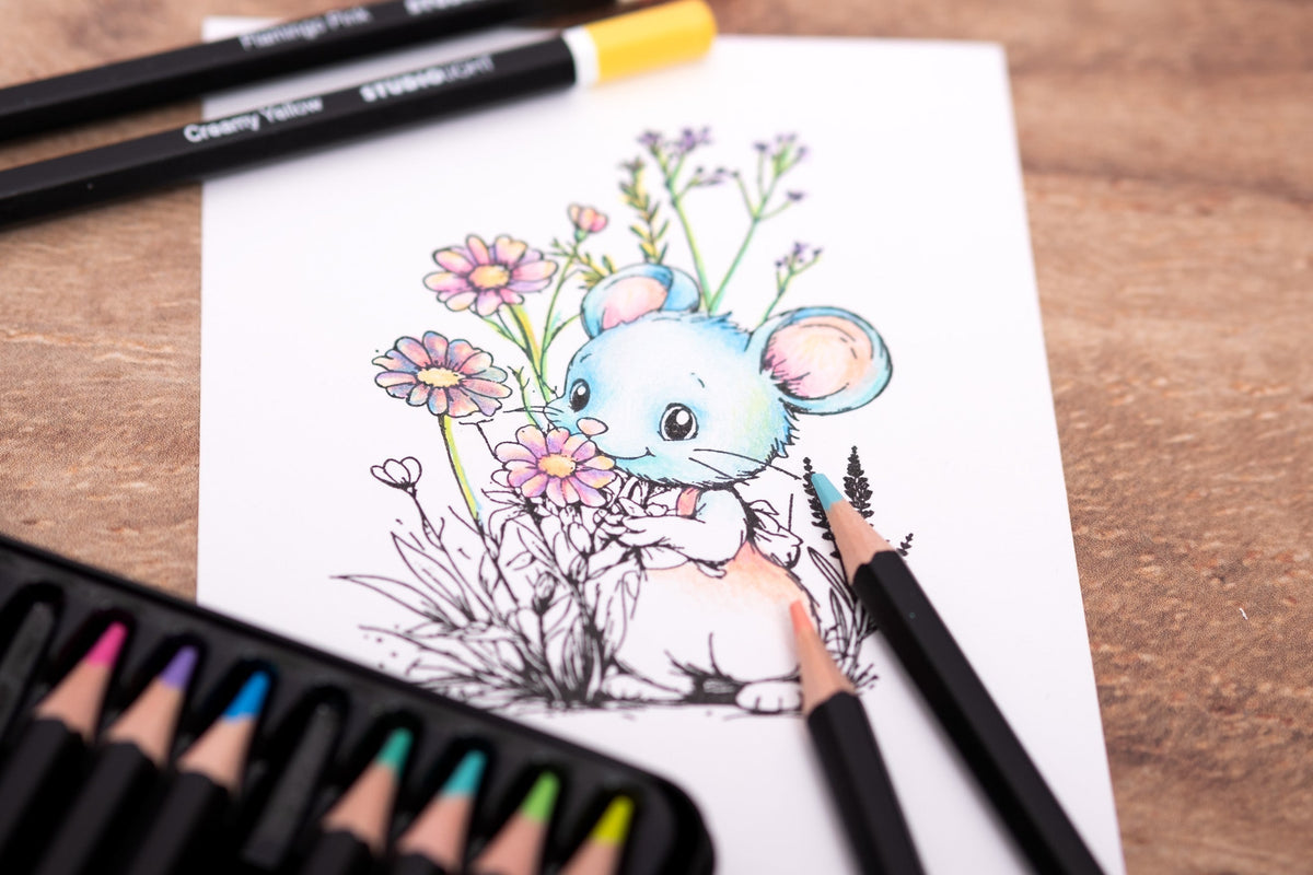 Crayons SL 12 Couleurs Nuances Pastel Essentiels 12 Pièces