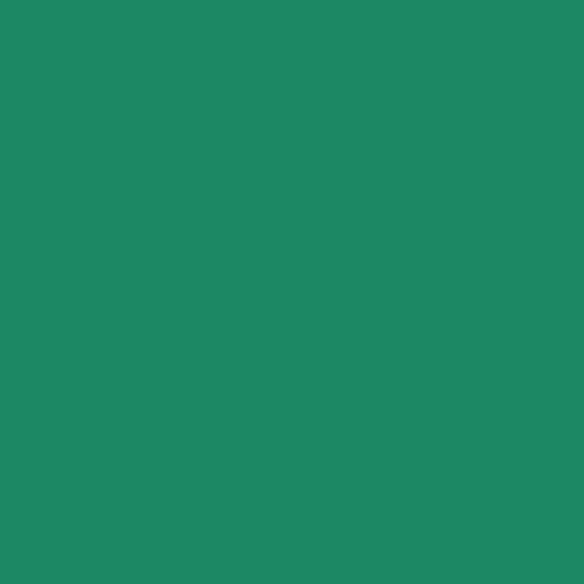 Siser Caddet Green Easyweed 12"sheets and rolls