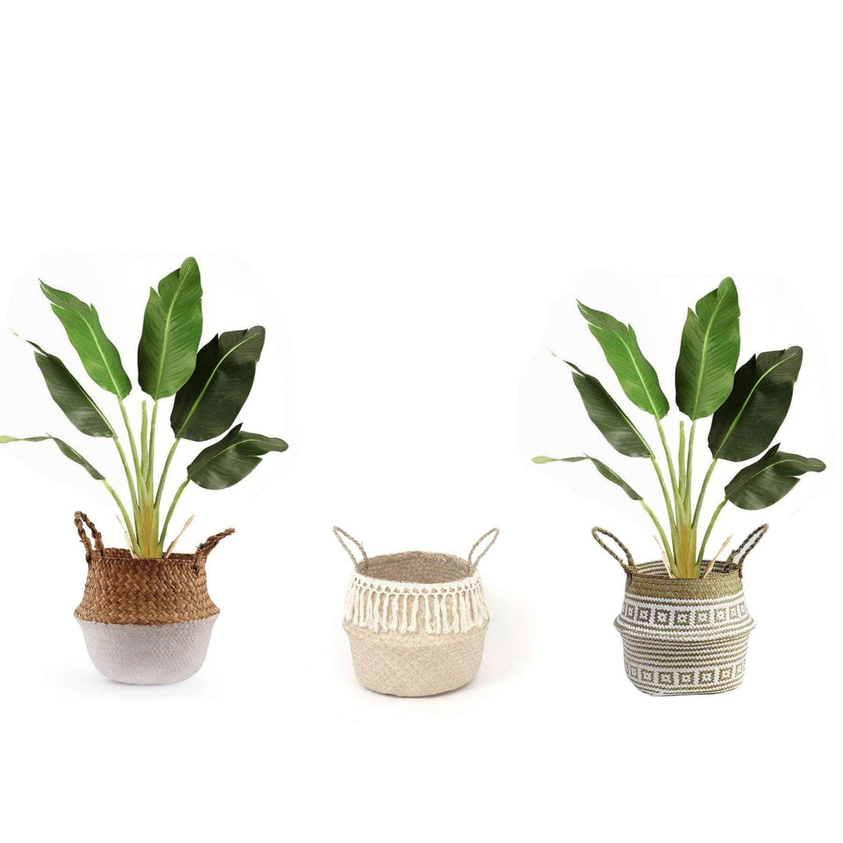 Plante en pot Oiseau de Paradis Artificiel Lola 91 cm