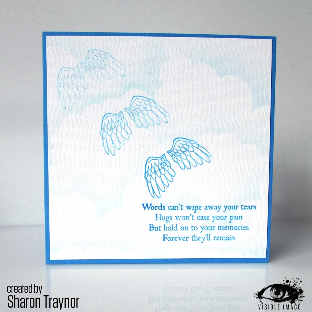 Visible Image Avec Sympathie - Set de Tampons A7