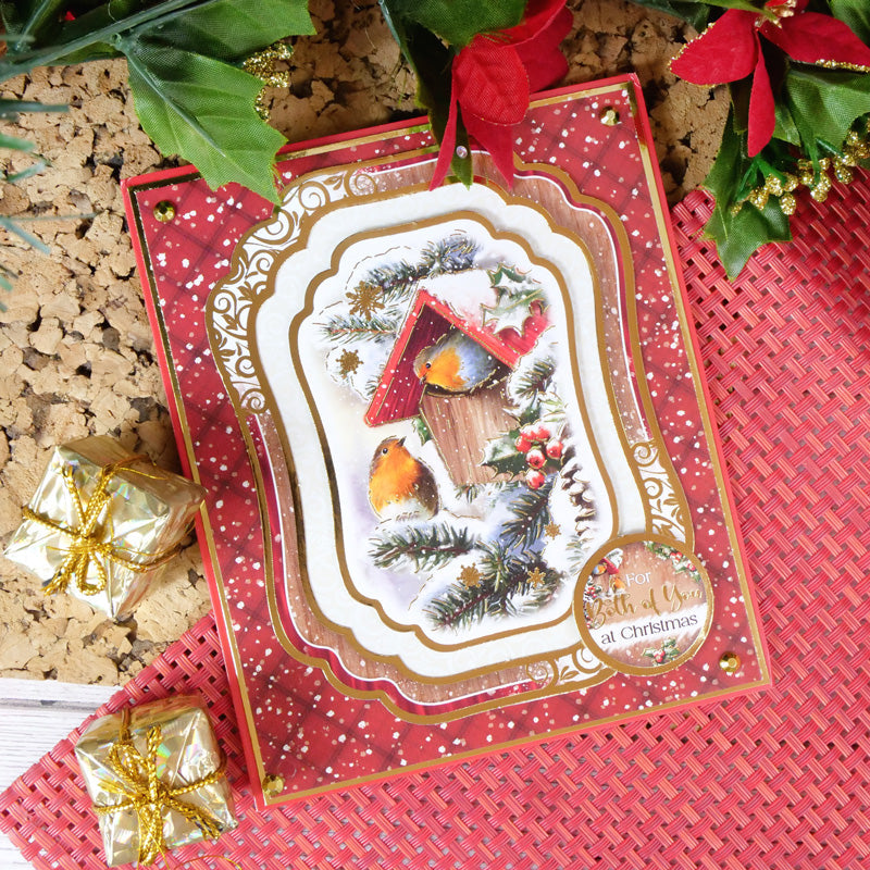 Inserts et papiers de luxe Winter Robins