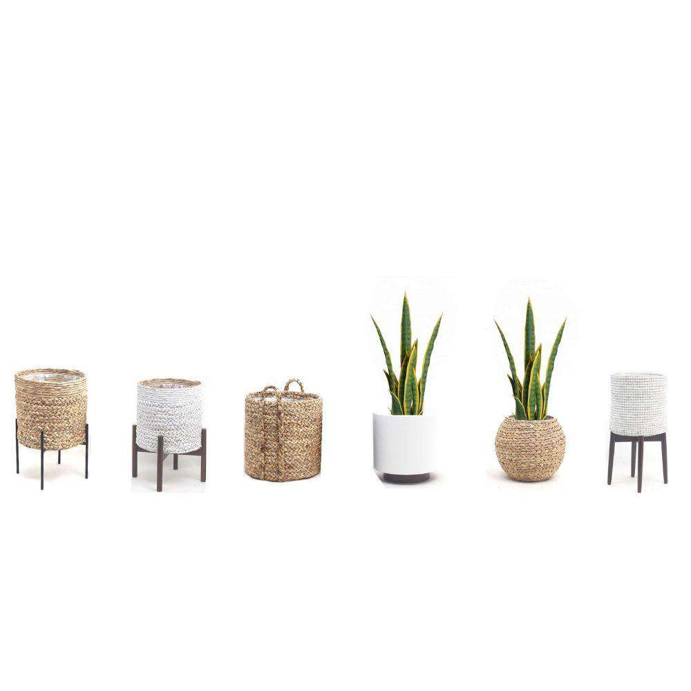 Zora Serpent Artificiel Sansevieria Plante en Pot Jaune et Verte 30''