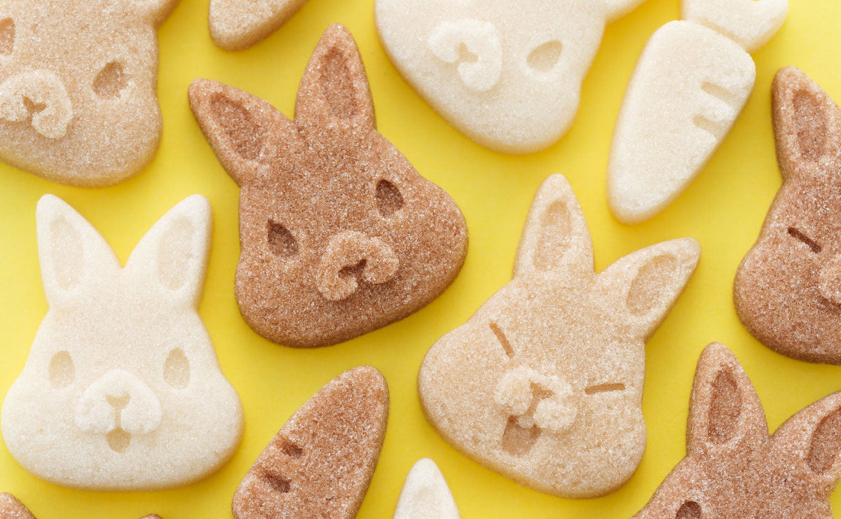 Café des lapins