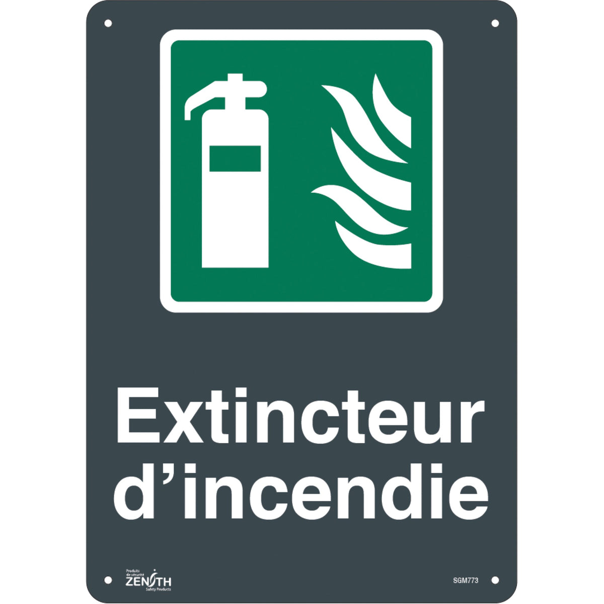 Panneau "Extincteur D'Incendie", 35,5 cm x 25,4 cm, plastique, français avec pictogramme