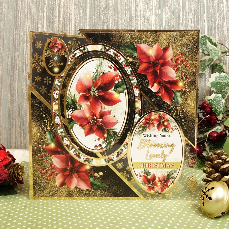 Acétate Scintillant de Luxe Poinsettia