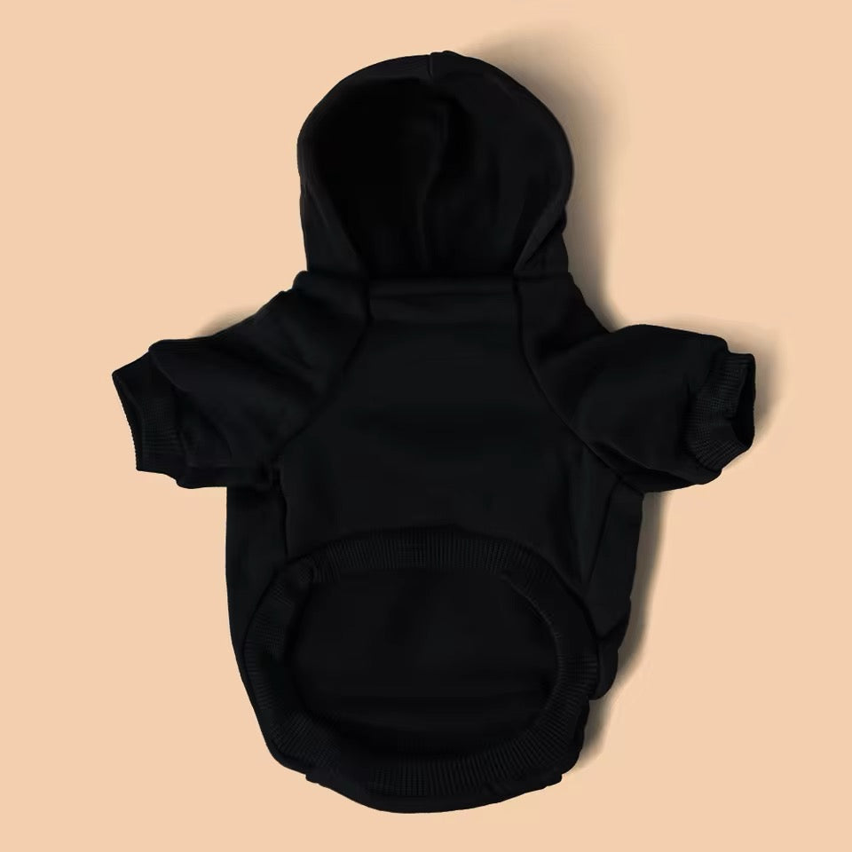 Sweat à capuche chien ours | Sweat à capuche pour chien avec motif personnage