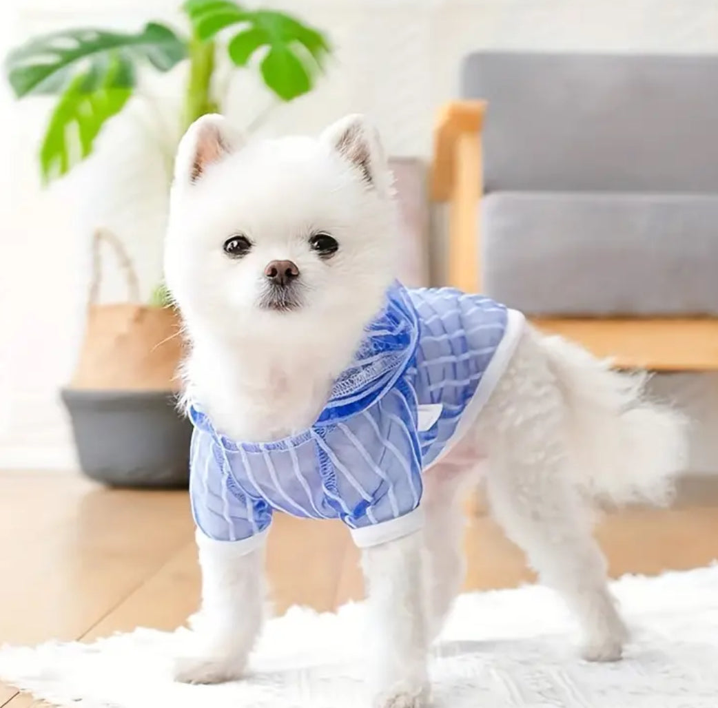 T-Shirt Chien Jeremiah | T-shirt Chien Transparent
