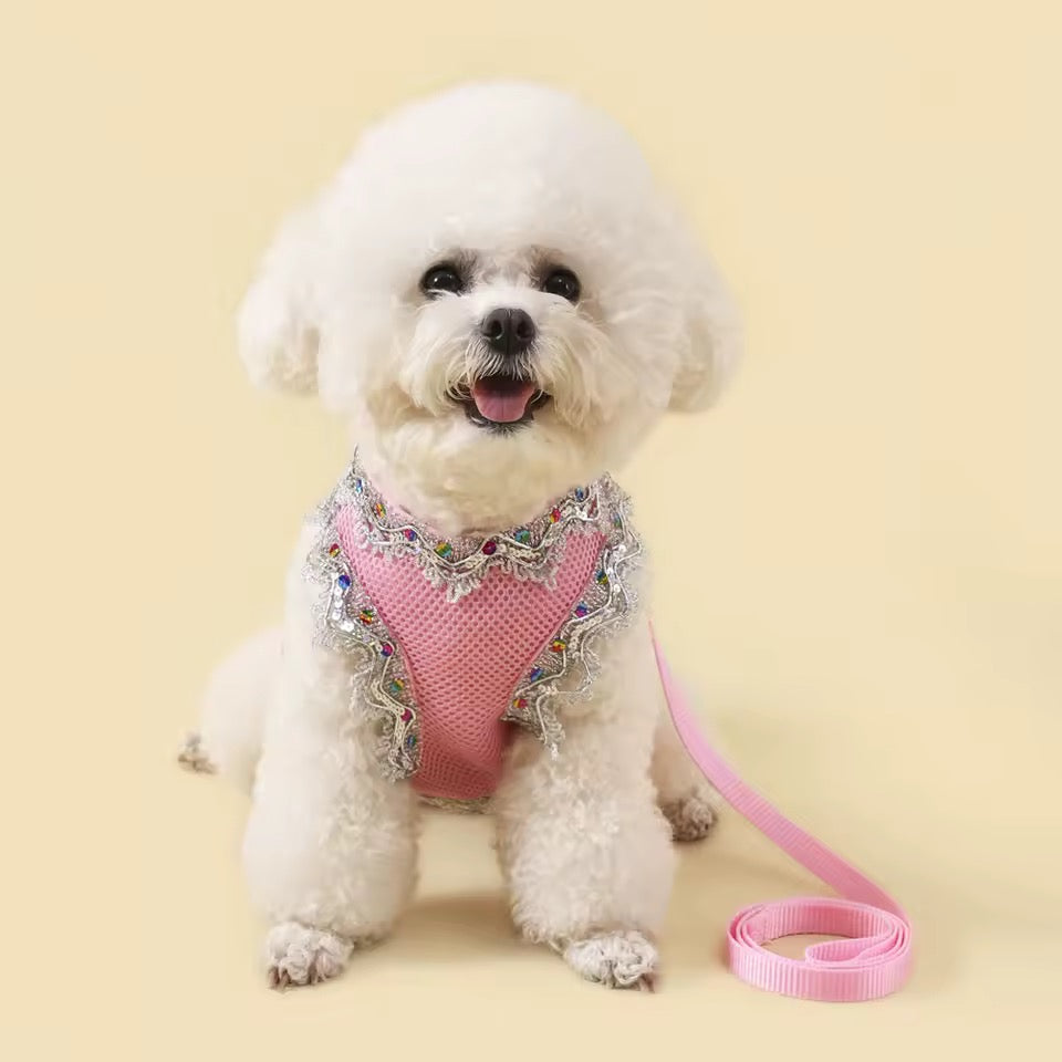 Crystal Lace Dog Harness & Leash Set – Luxury Designer Pet Wear