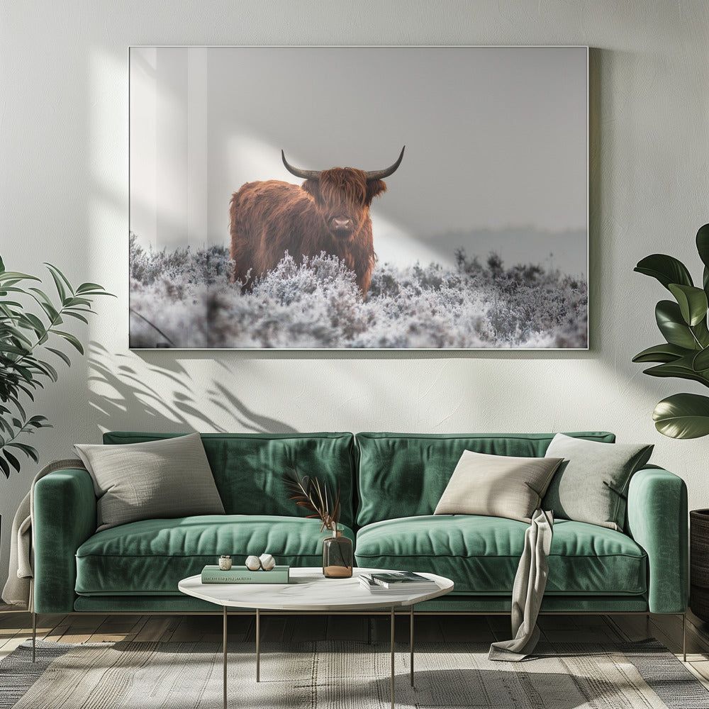 Wall Art Highlander