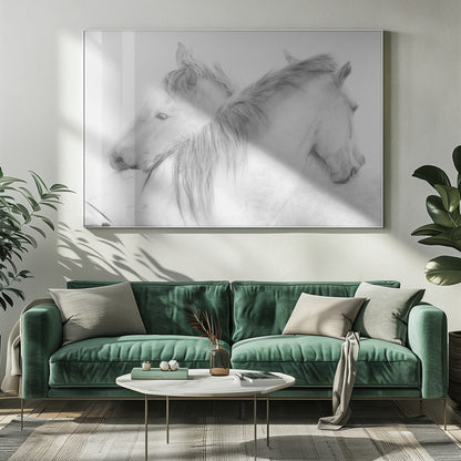 Horses