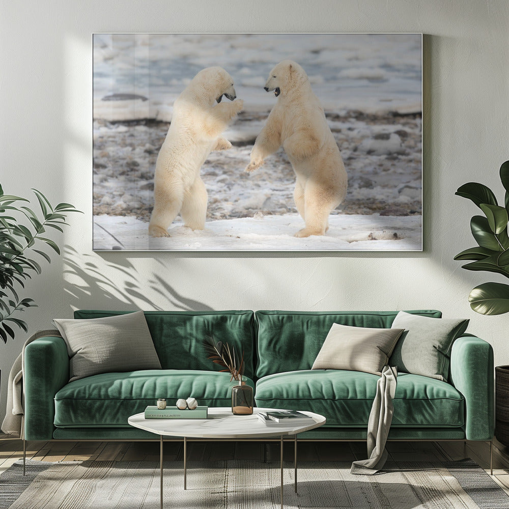 Wall art Fight !