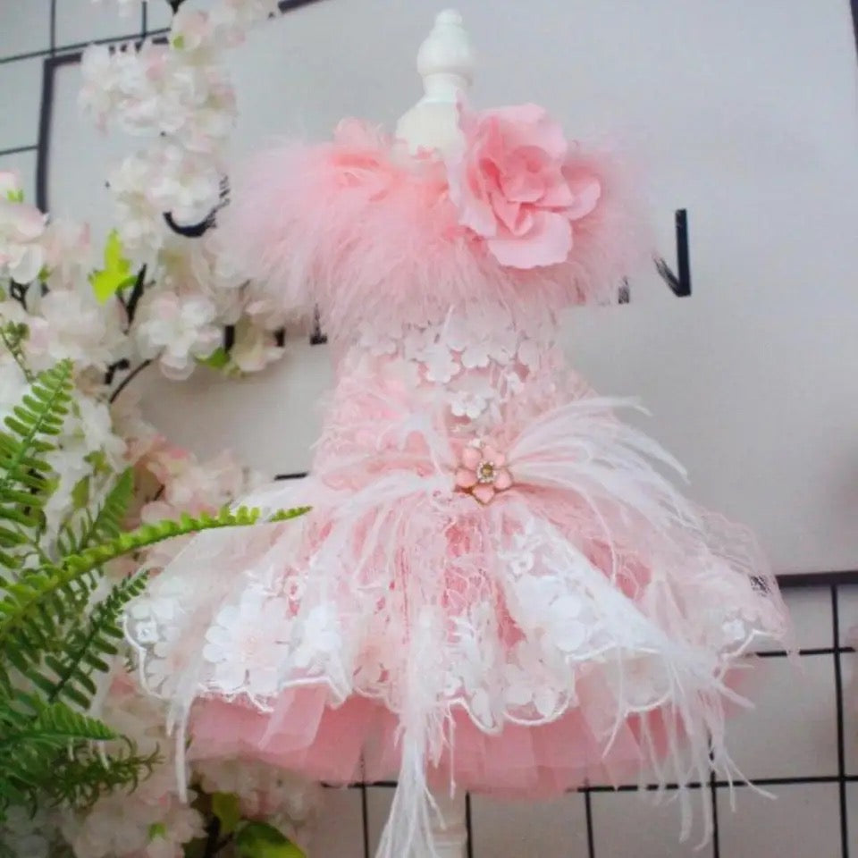Baby Boo Feather Dog Dress | Elegant Occasion Dog Dress