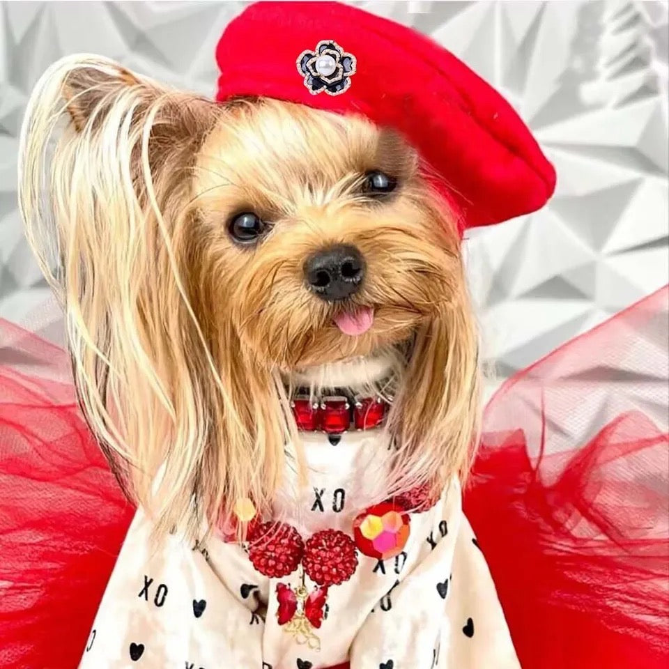 Béret pour Chien | Béret Coco Signature pour Chien