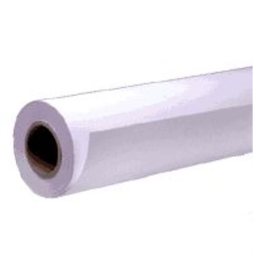Rouleau de papier mat léger Epson 17 po x 131,7 pi S041