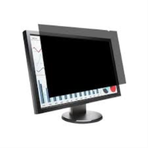 FP300W10 FILTRE CONFIDENTIEL MONITEUR