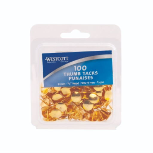 Punaises en laiton, 100/Coque