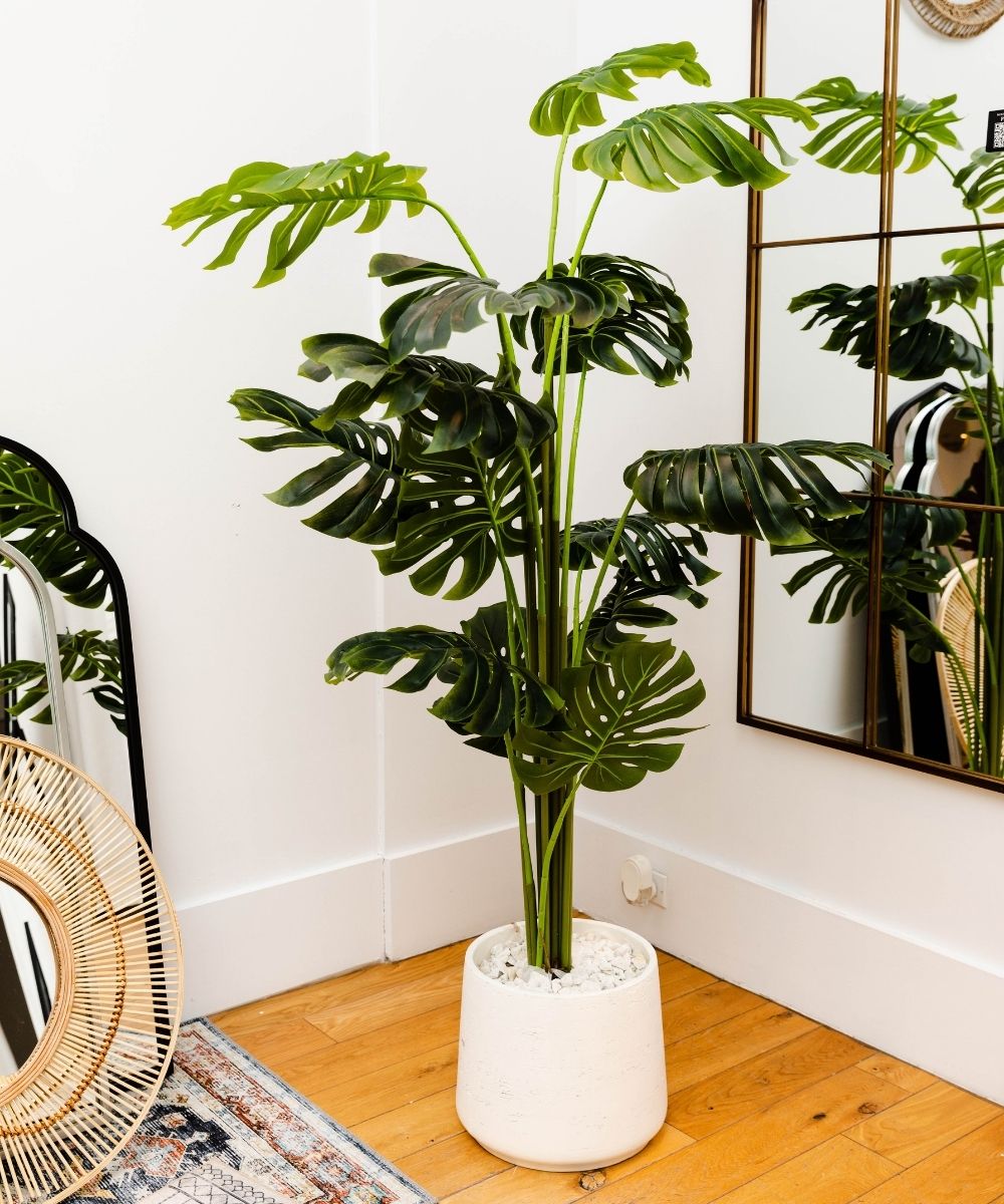 Plante en pot Monstera artificielle Rita (plusieurs tailles)