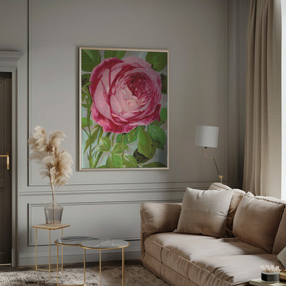 Wall Art Pink Rose, Mrs John Laing Lithograph