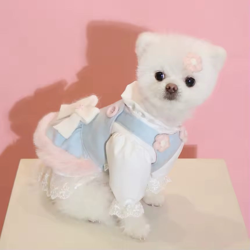 Tenue Lapin de Pâques bleu layette – Ensemble Bonnet de Pâques pour chien