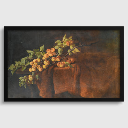 Adam Ludwig Kunz - Branche d'abricotier | Célèbre nature morte (disponible encadrée à la main ou non encadrée)