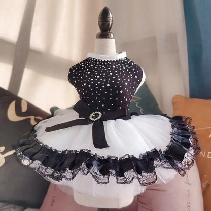 Amani Tutu Dog Dress