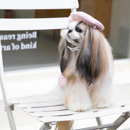 Paris Dog Dress & Hat Set – Elegant Outfit for Dogs