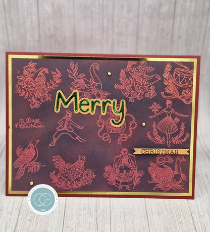 Craft Consortium 12 Days Of Christmas - Set de Tampons 6x8