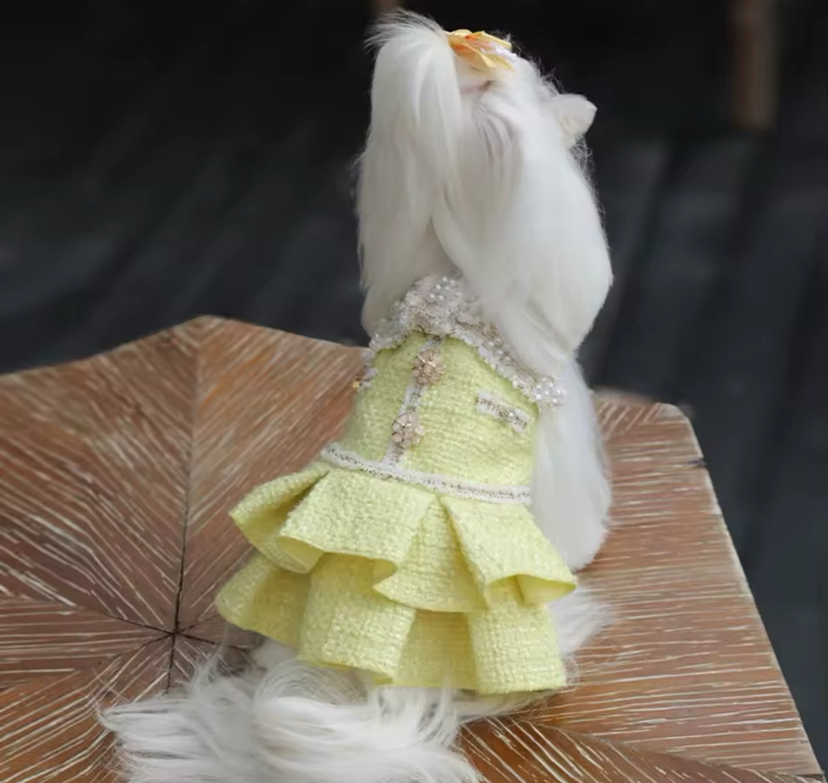 Robe Daisy Love – Robe de luxe fleurie pour chien