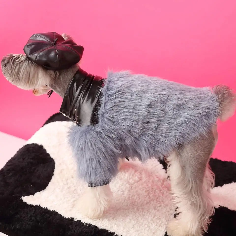 Jupiter Star Dog Jacket | Faux Leather Dog Coat with Fur Trim