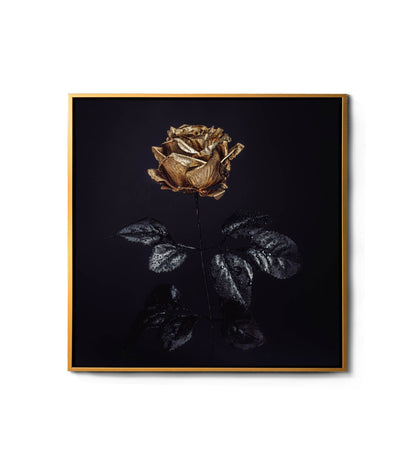 Wall Art-Gold Rose -Canvas Print