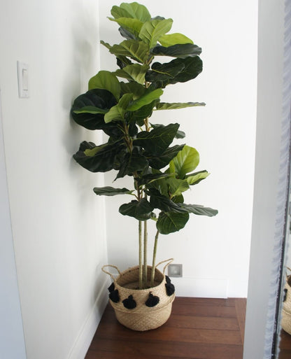 Plante artificielle en pot Alva Fiddle Leaf (Plusieurs tailles)