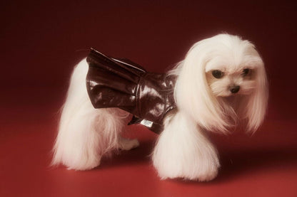Donna Dog Dress | Dog Dress for Special Occasions