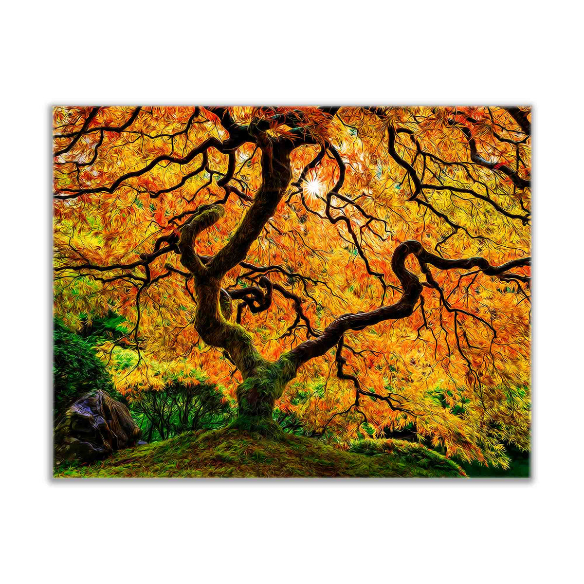 Canvas Print-Orange Tree-Nature Artwork