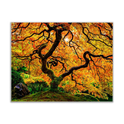 Canvas Print-Orange Tree-Nature Artwork