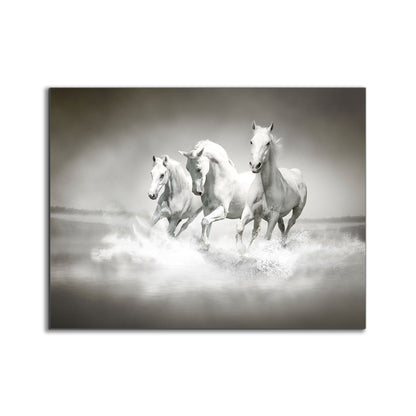Wall Art Black and White Stallions - Animal Print Canvas