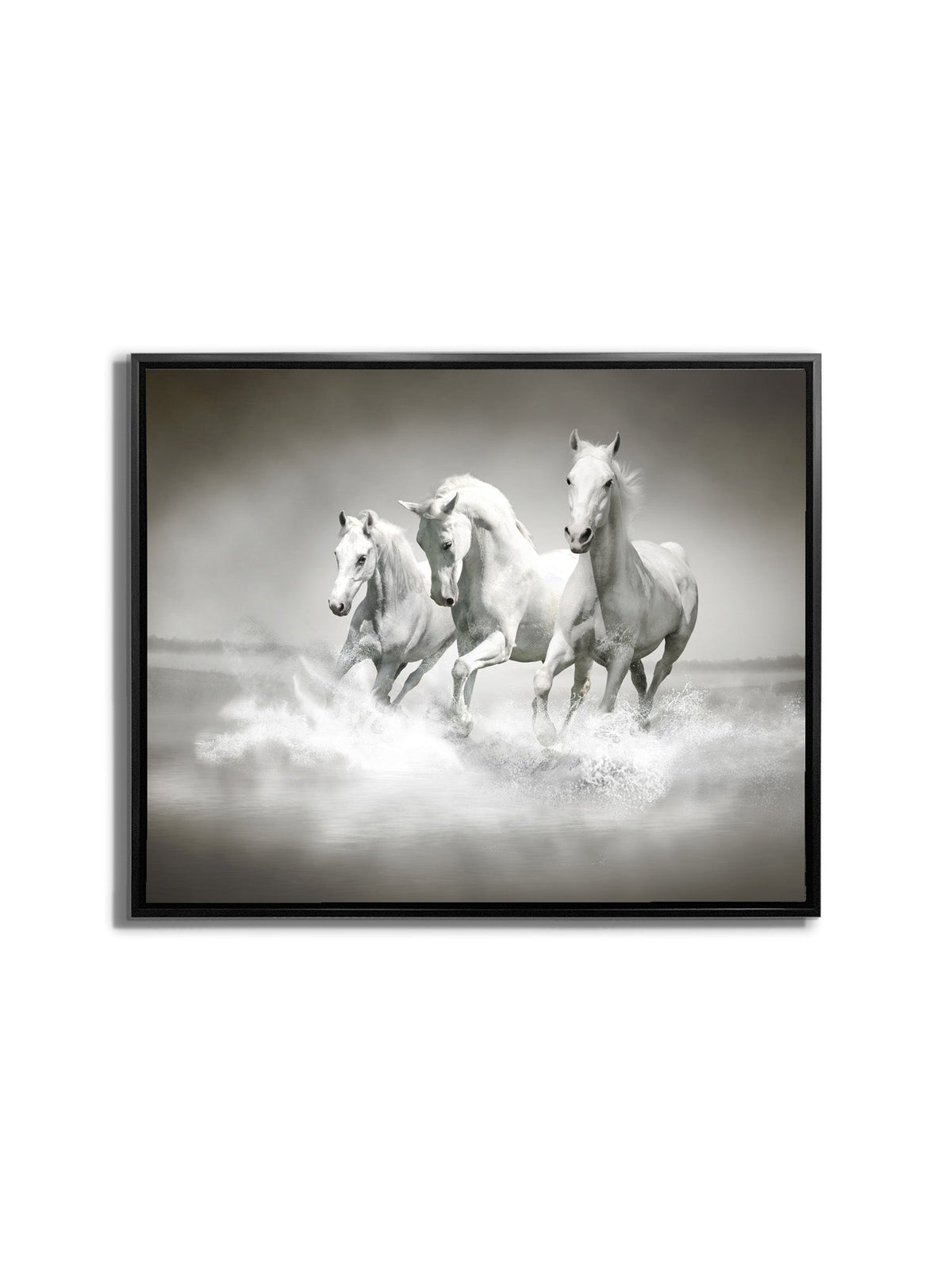 Wall Art Black and White Stallions - Animal Print Canvas