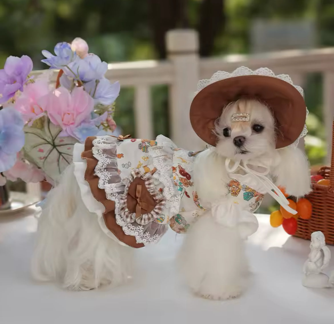 Ensemble Robe et Chapeau Médiévaux – Tenue de Luxe Fantaisie pour Chien