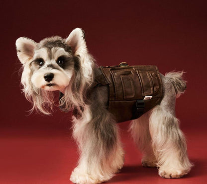 Salopette Joey pour chien | Gilet pour chien à porter au quotidien