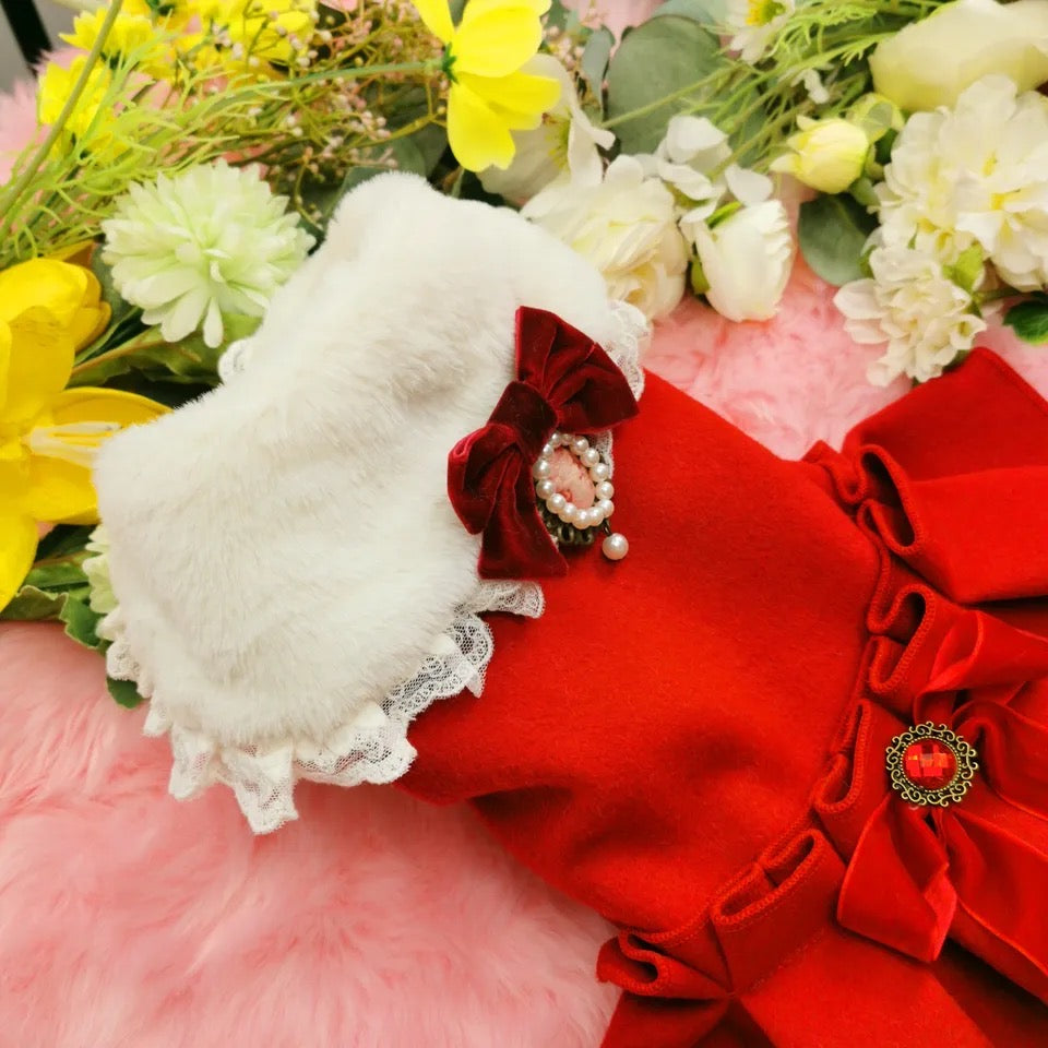 Ensemble de tenues de Noël assorties pour chiens Noella | Robe et chemise pour frères et sœurs