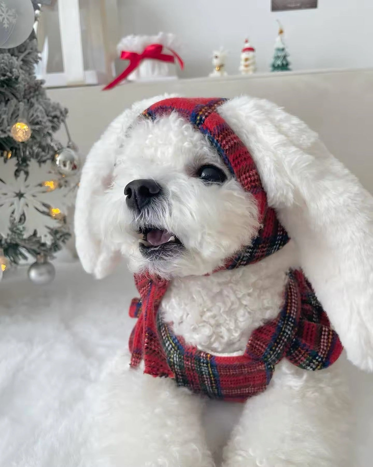 Winter Bunny Dress for Dogs – Red Plaid Dog Dress with Hat