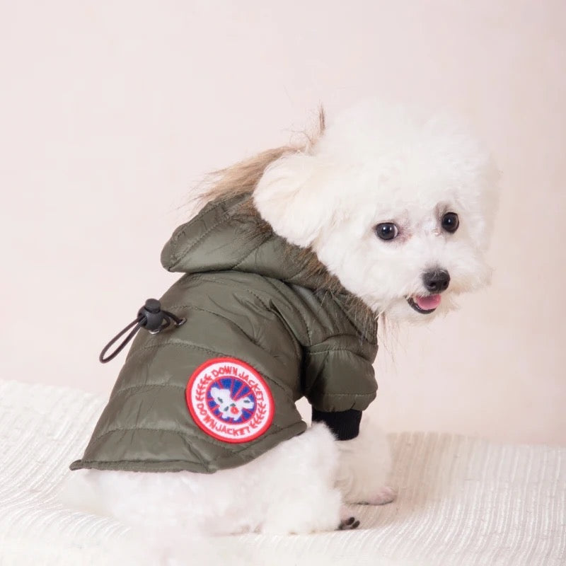 Arctic Shield Dog Jacket | Insulated Winter Dog Jacket with Fur Hood