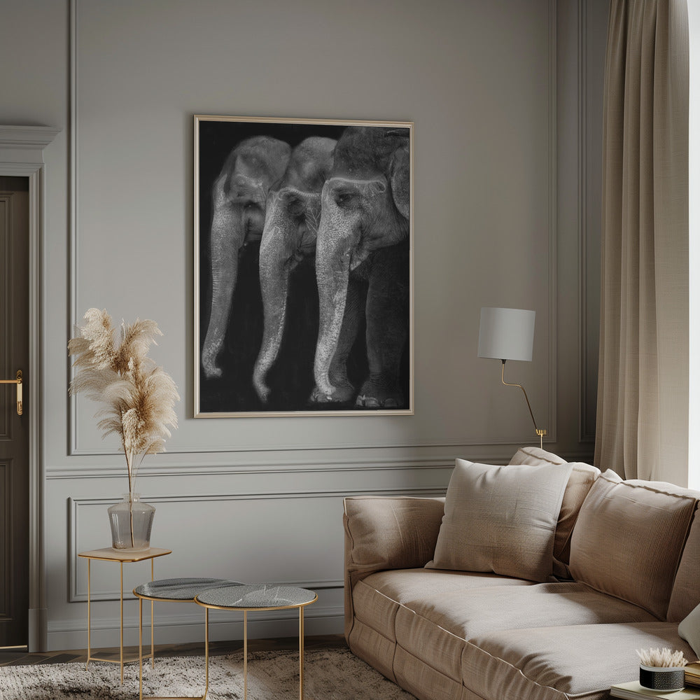 Wall art Nature\'s great masterpiece, an elephant; the only harmless great thing ...
